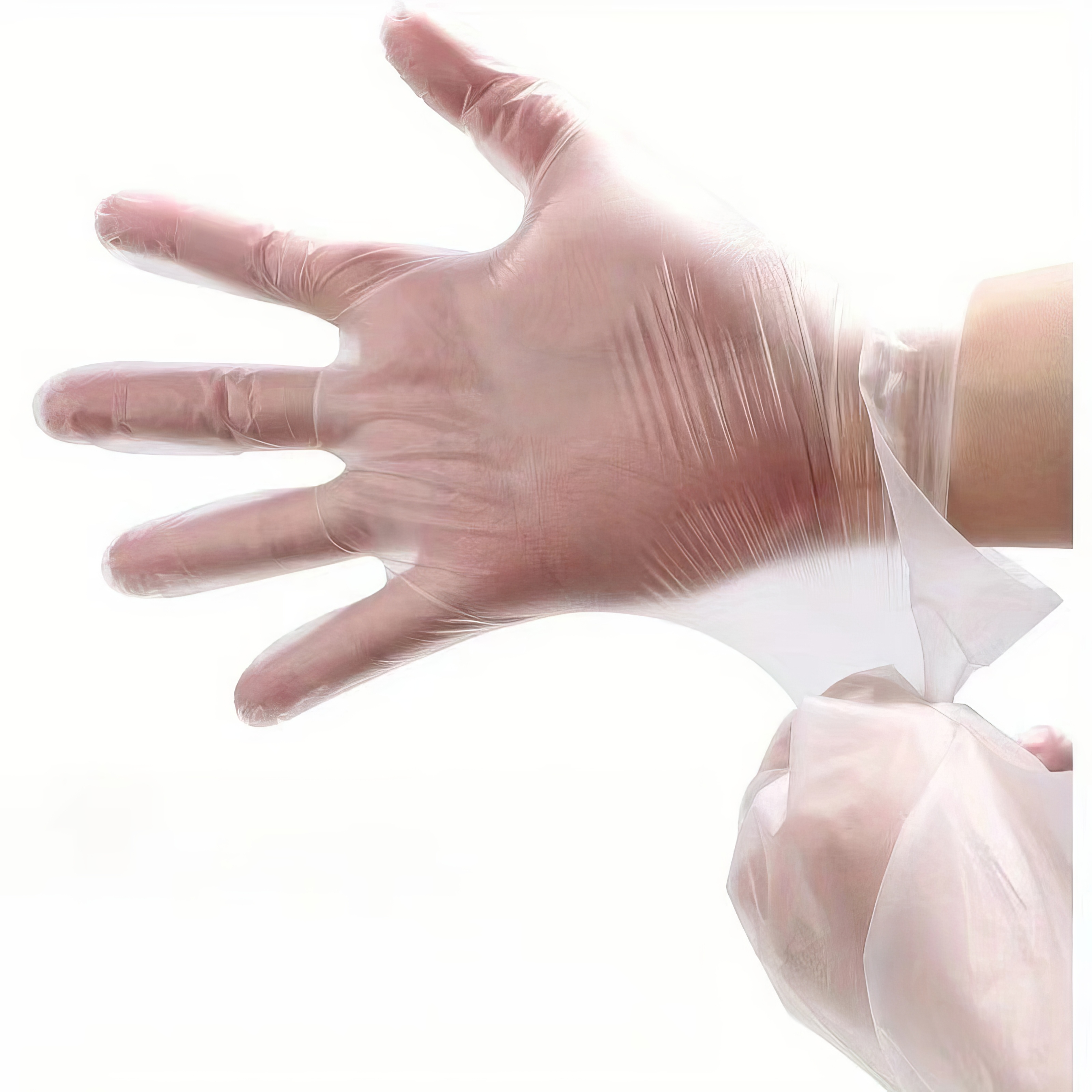 100PCS Bulk Disposable Clear P - Commercial Kitchen Needs avaliação e preço