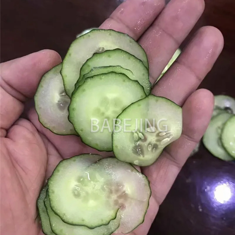Electric Mini Scallion Chopper - Commercial Kitchen Appliances avaliação e preço